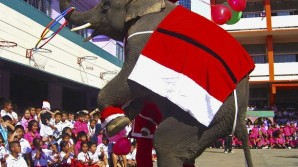 Christmas in Thailand