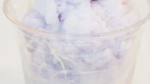 halo halo smoothie @ noodle star